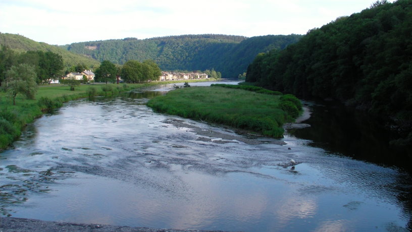 tournavaux 050.jpg